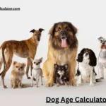 Golden Retriever age in human years chart