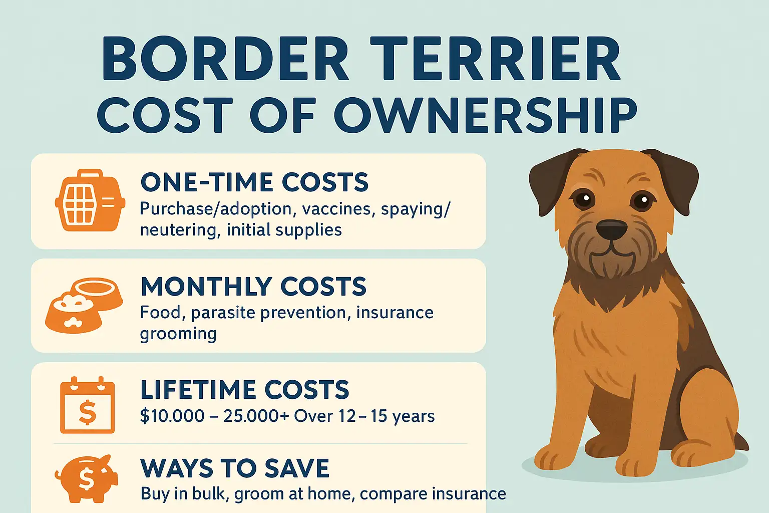 Border Terrier sitting beside a cost breakdown chart showing first-year, monthly, annual, and lifetime ownership expenses