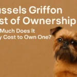 Brussels Griffon dog representing puppy price, grooming costs, vet care, and lifetime ownership expenses