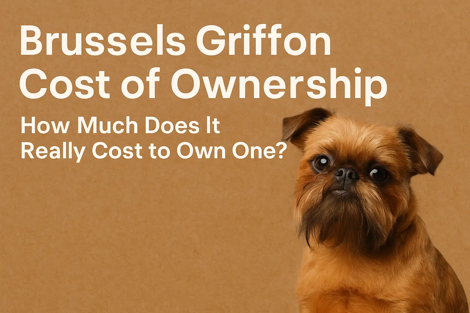 Brussels Griffon dog representing puppy price, grooming costs, vet care, and lifetime ownership expenses