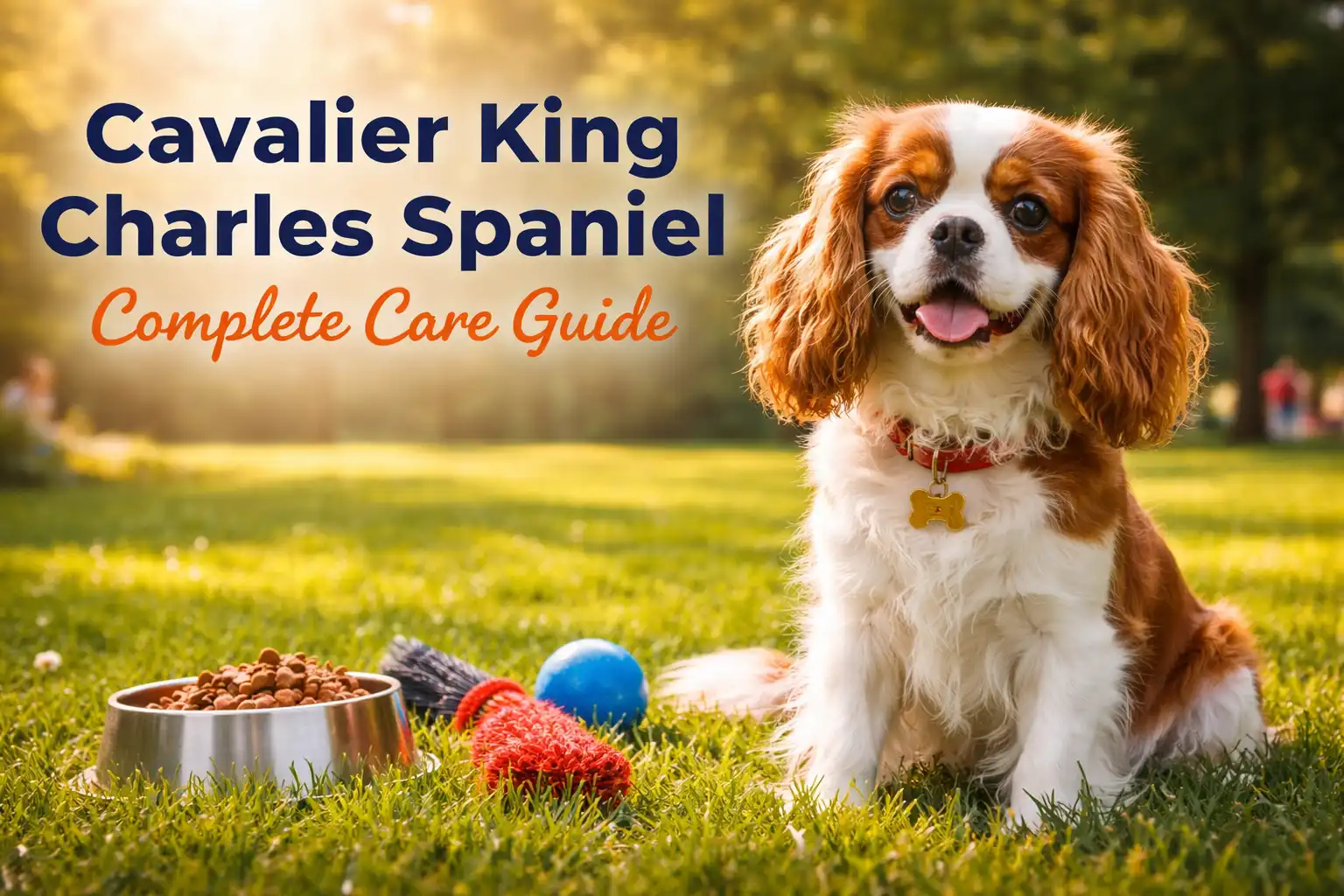 Cavalier King Charles Spaniel dog sitting outdoors showing its silky coat, gentle temperament, and friendly companion nature