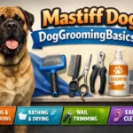 Mastiff Dog grooming basics including coat maintenance, drooling care, and skin health