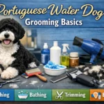 Portuguese Water Dog Grooming Basics