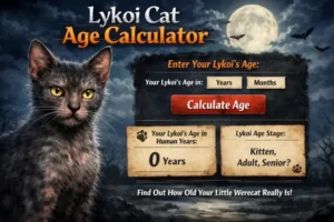 Lykoi cat age calculator chart converting cat years to human years