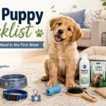New puppy sitting with first-week essentials including food bowls, leash, collar, puppy pads, toys, grooming brush, shampoo, treats, crate, and vet records.