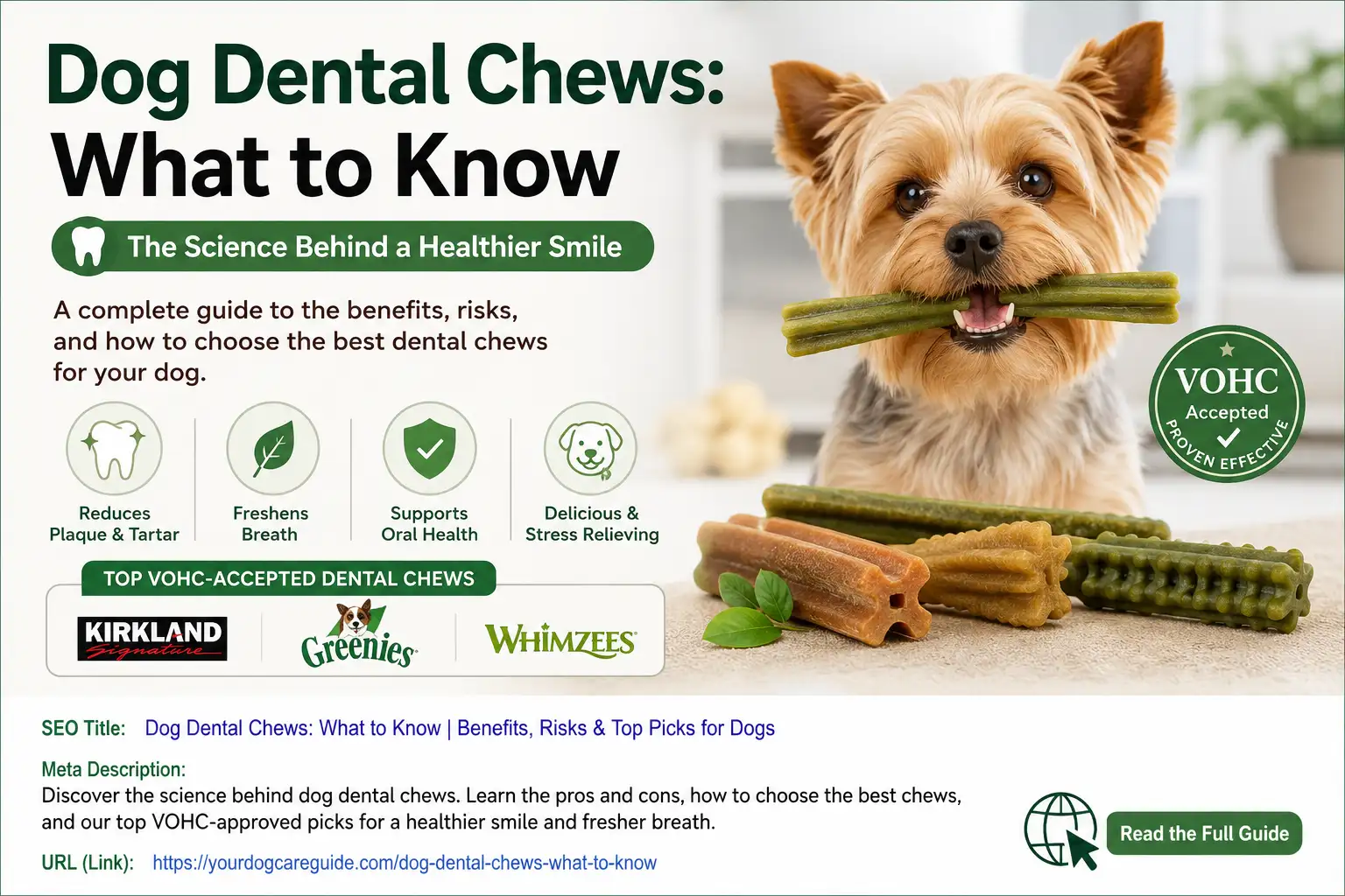 Dog Dental Chews: What to Know